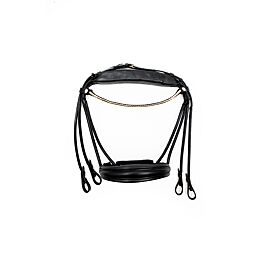 Finesse Double Bridle Dufour | Round Stitched | Golden Buckles